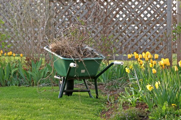 Flower Bed Cleanup Service in Oakland