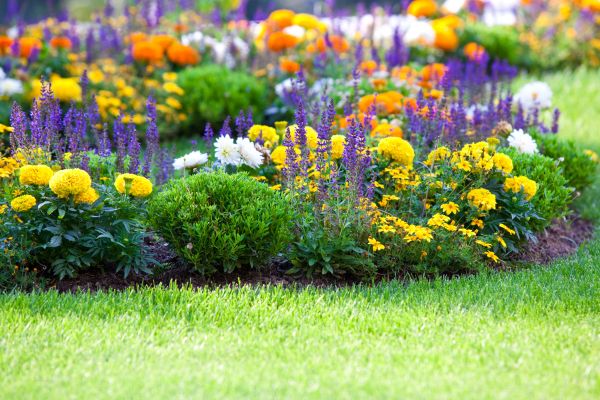 Flower Bed Maintenance in Oakland