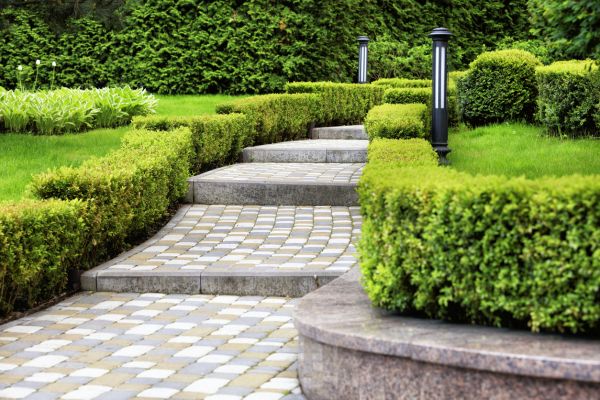 Backyard Remodeling in Oakland