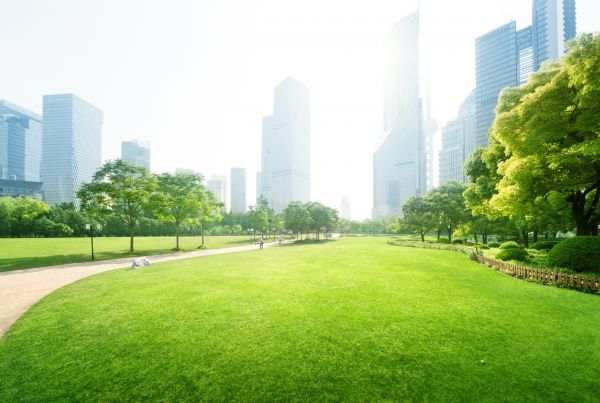 Commercial Landscape Maintenance in Oakland