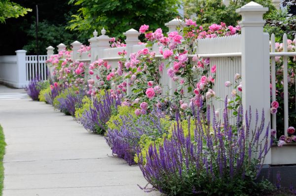 Garden Handyman Service in Oakland