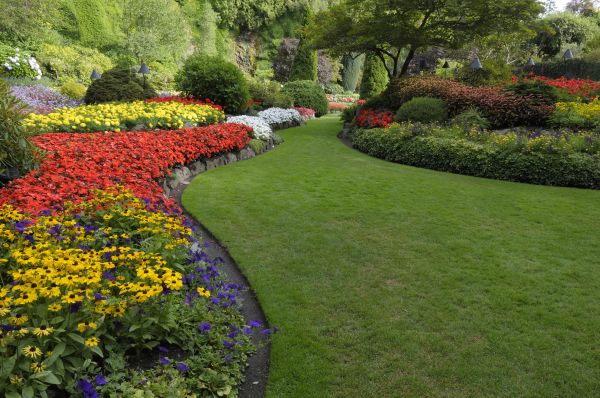 Landscaping Maintenance in Oakland