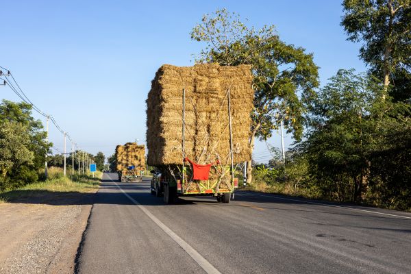 Pine Straw Delivery in Oakland