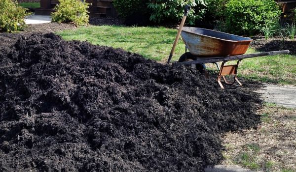 Black Mulch Delivery in Oakland