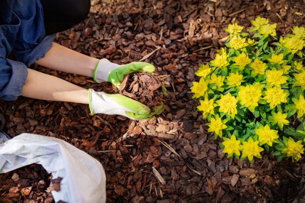 Garden Mulching in Oakland
