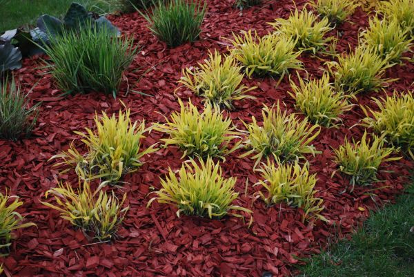 Mulch Landscaping in Oakland