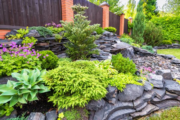 Landscape Remodeling in Oakland