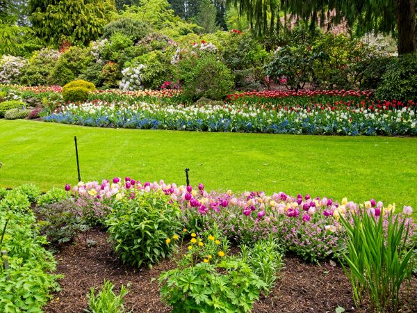 Residential Landscape Design in Oakland