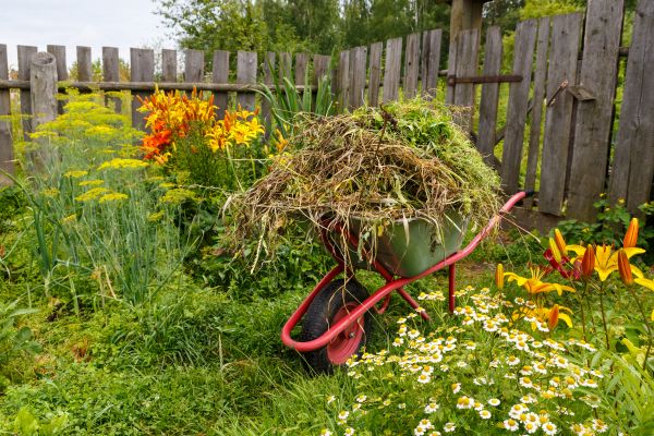 Garden Cleanup Service in Oakland