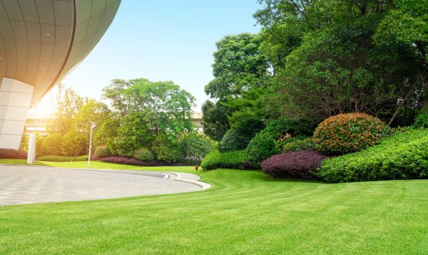 Business Landscape Design in Oakland