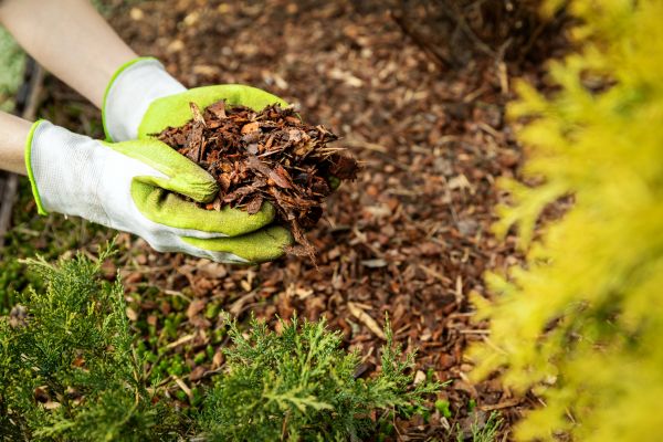 Garden Mulch Delivery in Oakland