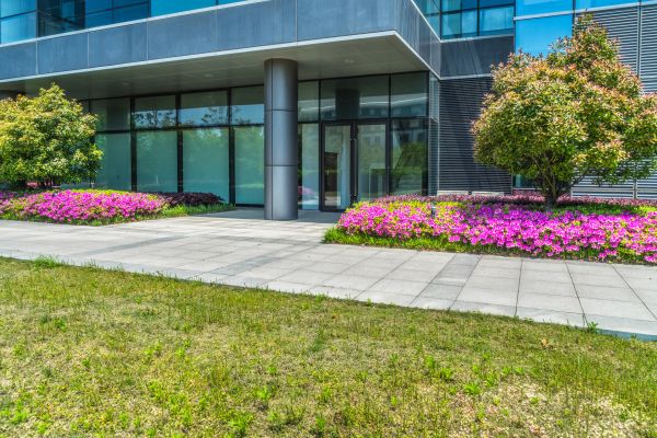 Commercial Gardening in Oakland