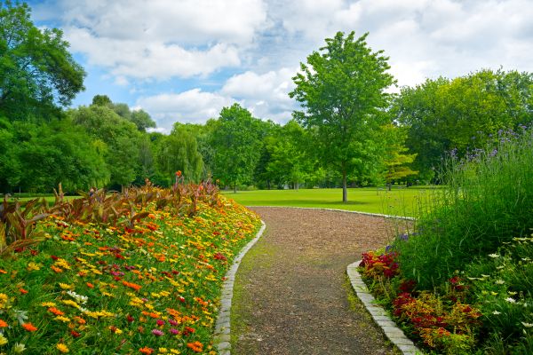 Park Landscaping in Oakland