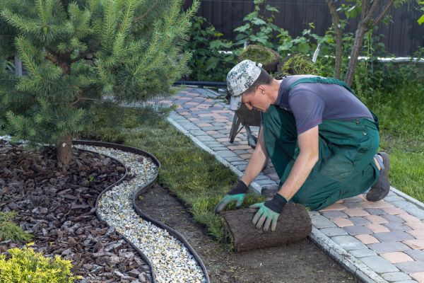 Landscaping Modification in Oakland