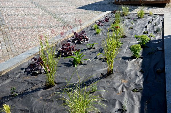 Landscape Fabric Installation in Oakland