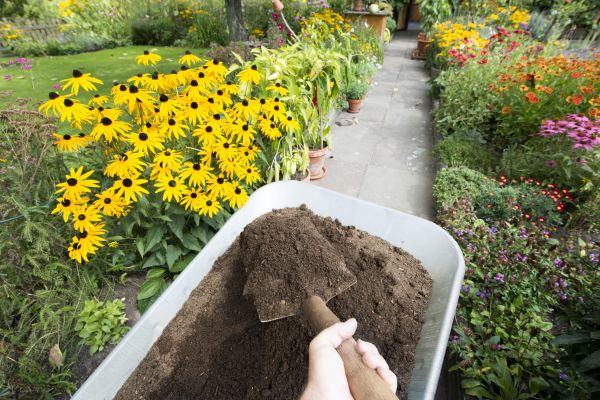 Topsoil Replacement in Oakland