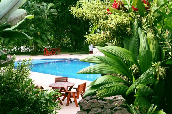 Pool Area Landscaping in Oakland