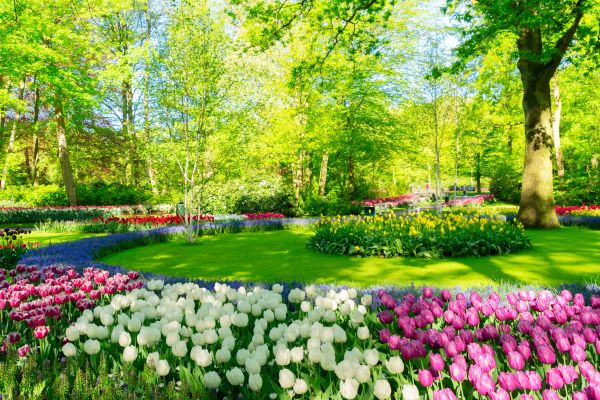 Flower Landscaping in Oakland