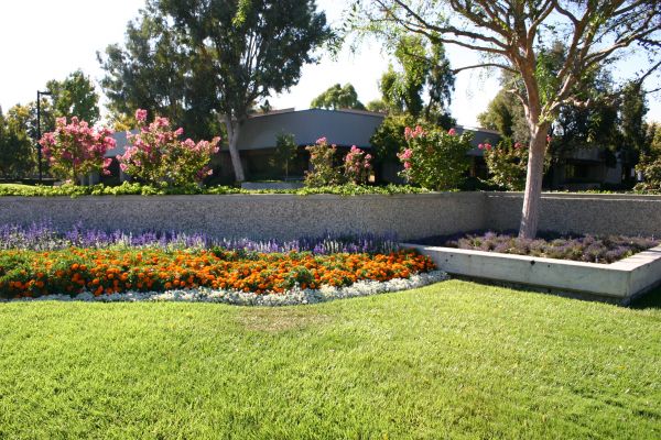 Commercial Landscape Service in Oakland