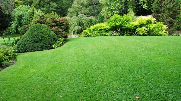 Commercial Landscape Design in Oakland
