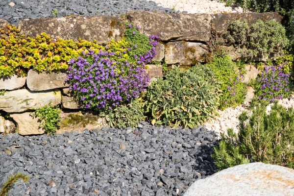 Landscaping Rocks Installation in Oakland