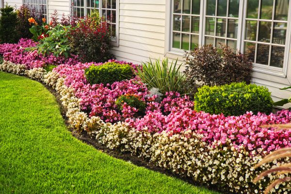 Garden Landscape Design in Oakland