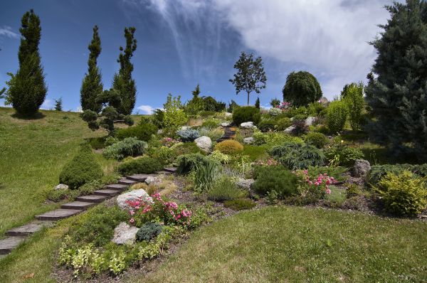 Steep Terrain Landscaping in Oakland