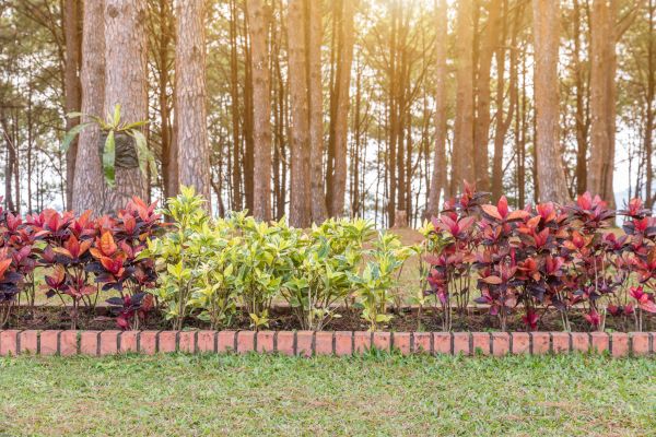 Small Garden Landscaping in Oakland