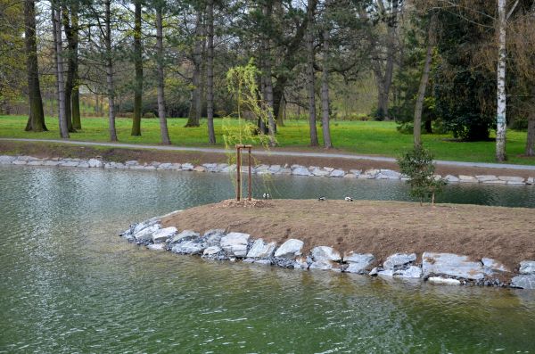 Pond Landscaping Service in Oakland