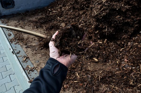 Condo Mulching in Oakland