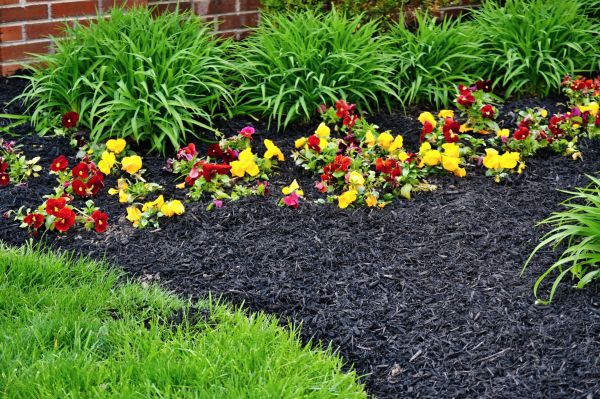 Apartment Mulching in Oakland