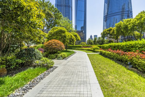 Commercial Landscaping in Oakland