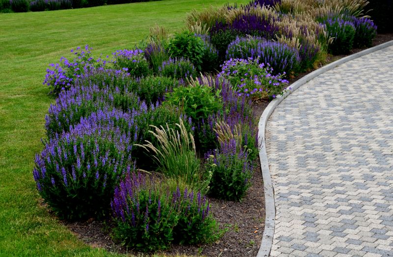 Landscape Curb Appeal Service