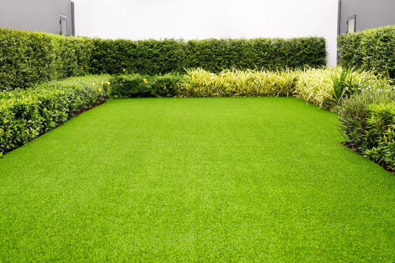 Lawn and Turf Care